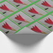 verpakkingspapier cadeaupapier (Hoek)