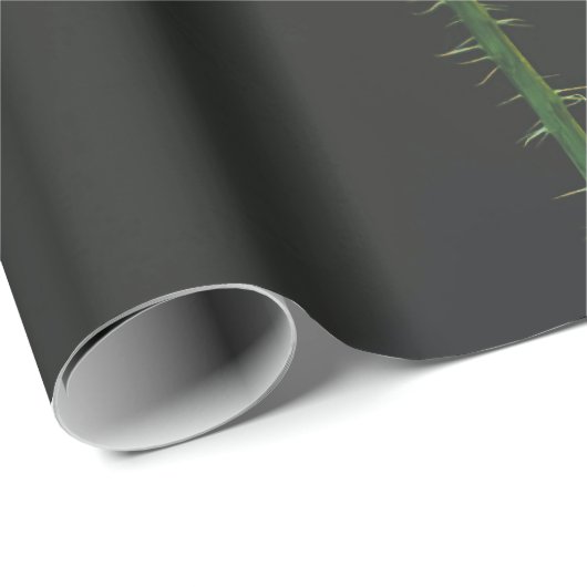 verpakkingspapier cadeaupapier (Rol Hoek)