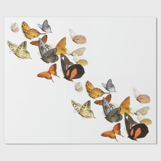 Verpakkingspapier Cadeaupapier (Vlak)