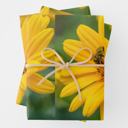 Verpakkingspapier Inpakpapier Vel (In situ)