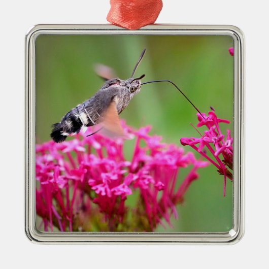 Verpakkingspapier Metalen Ornament (Voorkant)