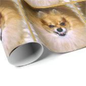 Verpakkingspapier | Pommeren Mad Dog Cadeaupapier (Rol Hoek)