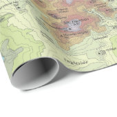 Verpakkingspapier - San Francisco Topo Cadeaupapier (Rol Hoek)