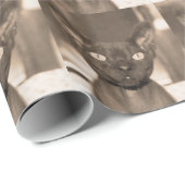 Verpakkingspapier | Sepia Devon Rex Cat Sphynx God Cadeaupapier (Rol Hoek)