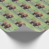 Verpakkingspapier van GRIZLY BEER Cadeaupapier (Hoek)