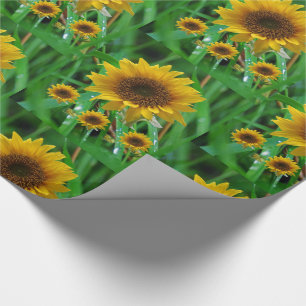 Verpakkingspapier Zonnebloem Cadeaupapier