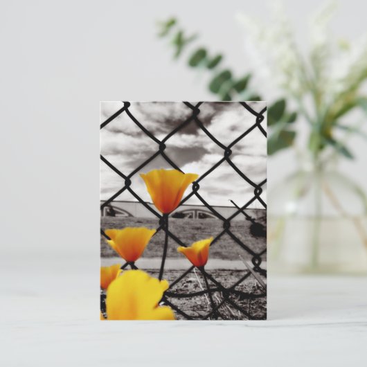 Verpakt achter hekken en onder dramatische luiken briefkaart (Staand voorkant)