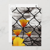 Verpakt achter hekken en onder dramatische luiken briefkaart (Voorkant / Achterkant)