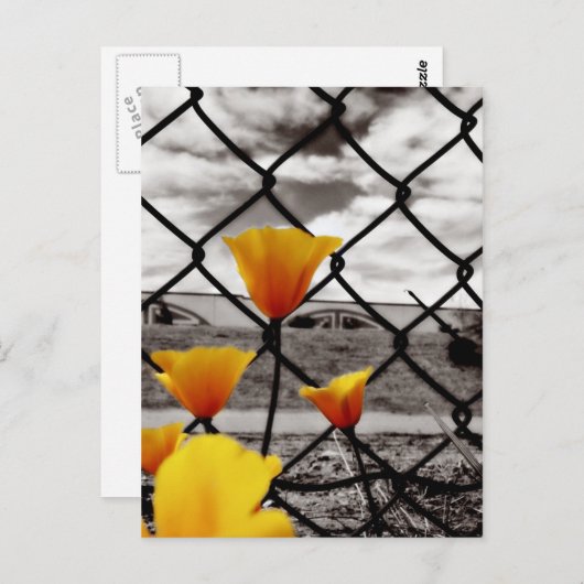 Verpakt achter hekken en onder dramatische luiken briefkaart (Voorkant / Achterkant)