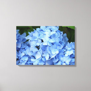 Verpakt canvas - - Blauwe Hydrangea hortensia Afdruk