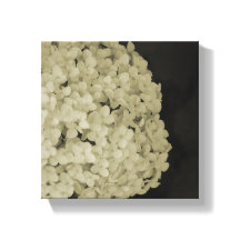 Verpakt canvas bloem fotografie print artwork