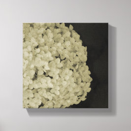 Verpakt canvas bloem fotografie print artwork