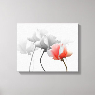 Verpakt canvas met zwarte en witte rozen, één roze