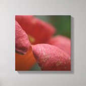 Verpakt canvus close-up bloemen canvas afdruk (Voorkant)