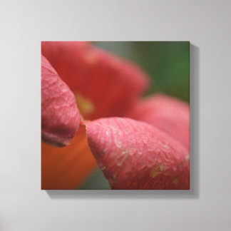 Verpakt canvus close-up bloemen canvas afdruk