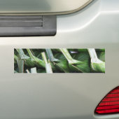 Verpakte bananenblad pakketten bumpersticker (Op auto)
