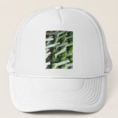 Verpakte bananenblad pakketten trucker pet (Voorkant)