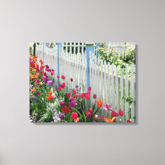 verpakte canvas tulpen tuin wit piket hek afdruk (Voorkant)