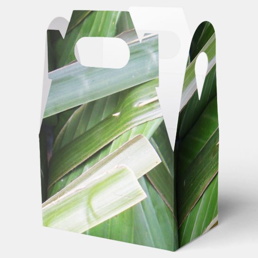 Verpakte lederpakketten voor bananen bedankdoosjes (Geopend)