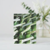 Verpakte lederpakketten voor bananen briefkaart (Staand voorkant)