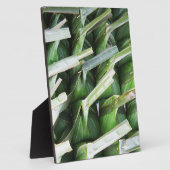 Verpakte lederpakketten voor bananen fotoplaat (Zijkant)