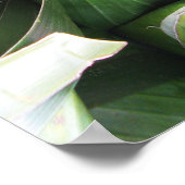 Verpakte lederpakketten voor bananen poster (Hoek)