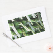 Verpakte lederpakketten voor bananen rechthoekige sticker (Envelop)