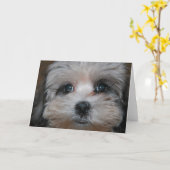 Verpersoonlijkte zoetheid kaart (Gele Bloem)