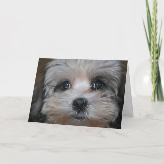 Verpersoonlijkte zoetheid kaart