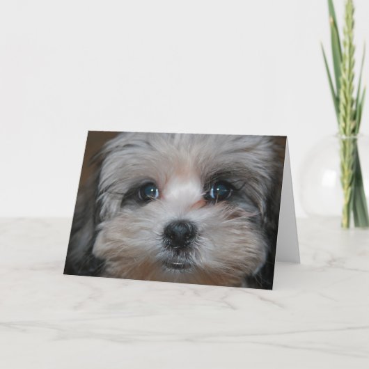 Verpersoonlijkte zoetheid kaart (Voorkant)