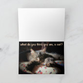Verpest op je verjaardag? Denk je dat je een kat b Kaart (Binnen)