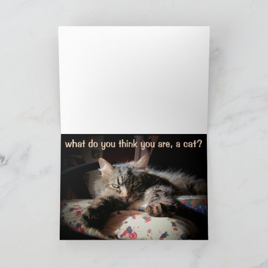 Verpest op je verjaardag? Denk je dat je een kat b Kaart (Binnen)