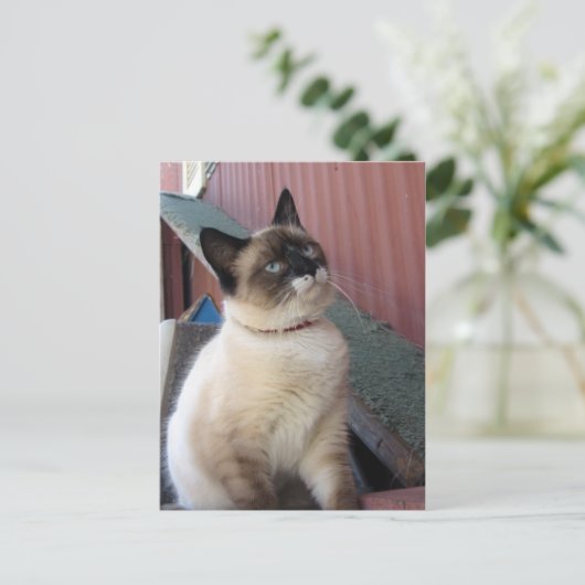 Verplaats de Snowshoe Briefkaart (Staand voorkant)