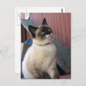 Verplaats de Snowshoe Briefkaart (Voorkant / Achterkant)