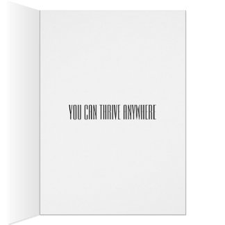 Verplaatsen, banen veranderen, carrière veranderen