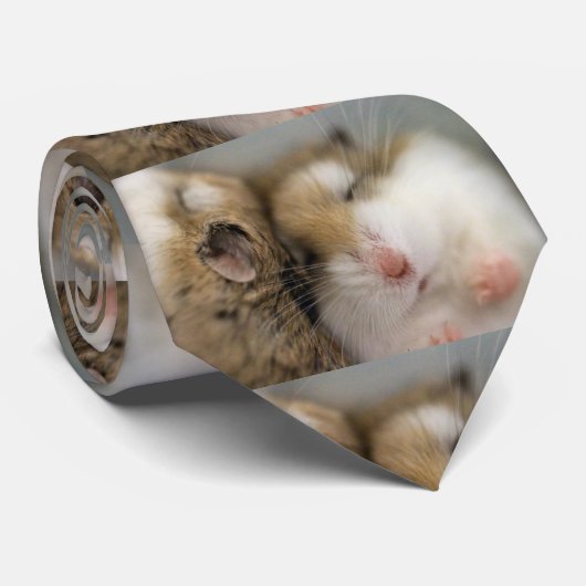 Verplaatsen over Bob Stropdas (Opgerold)