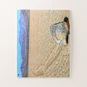 Verplaatsende stenen Death Valley Jigzaag Puzzle Legpuzzel (Verticaal)