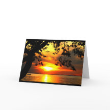 Verplaatsing naar de Humor van de sunset-pensioner