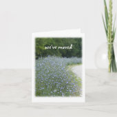 Verplaatsing van cichoreibloem aankondiging (Voorkant)