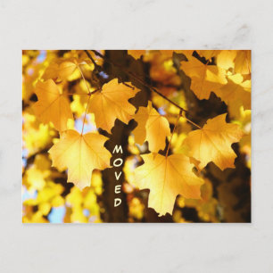 Verplaatste Briefkaarten Aangepast Verplaatsen Nie