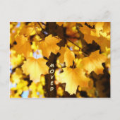 Verplaatste Briefkaarten Aangepast Verplaatsen Nie (Voorkant)