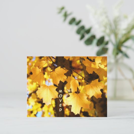 Verplaatste Briefkaarten Aangepast Verplaatsen Nie (Staand voorkant)