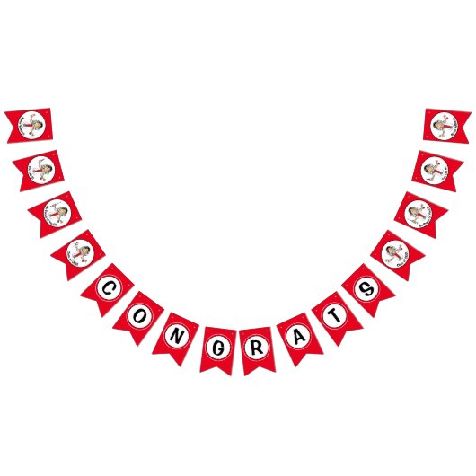 Verpleegbaar Afstuderen Aangepast RN LPA CNA-banne Vlaggetjes (Alle)