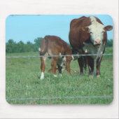 Verpleegkalf Muismat (Voorkant)