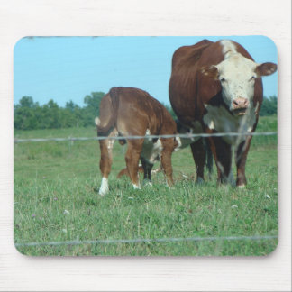 Verpleegkalf Muismat