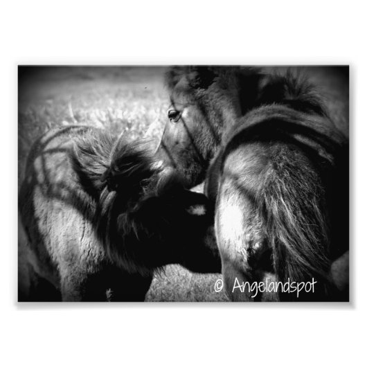 Verpleegkunde Foto Afdruk (Voorkant)