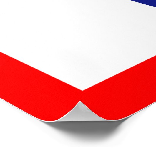 verpleegkunde poster (Hoek)