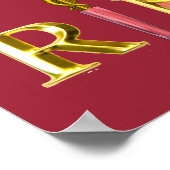 VERPLEEGKUNDIGE EN REDDINGSHOND /Gouden Caduceus R Poster (Hoek)