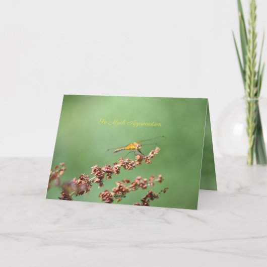 Verpleegkundigen dank u kaart (Achterkant)