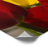 Verpleegkundigen Week poster Tulpen waarderen onze (Hoek)